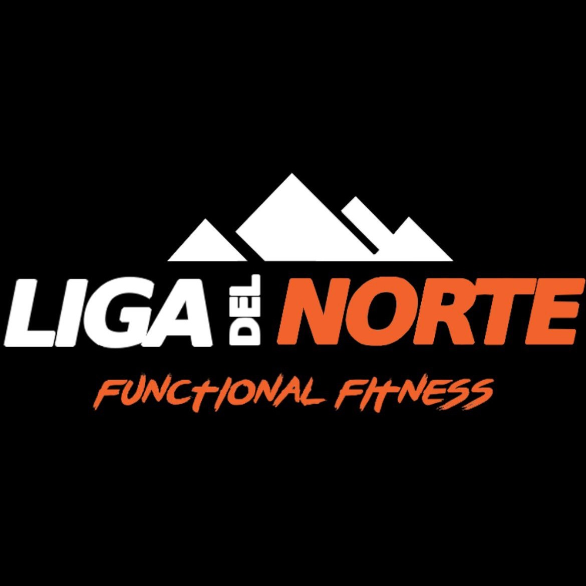 Liga del Norte