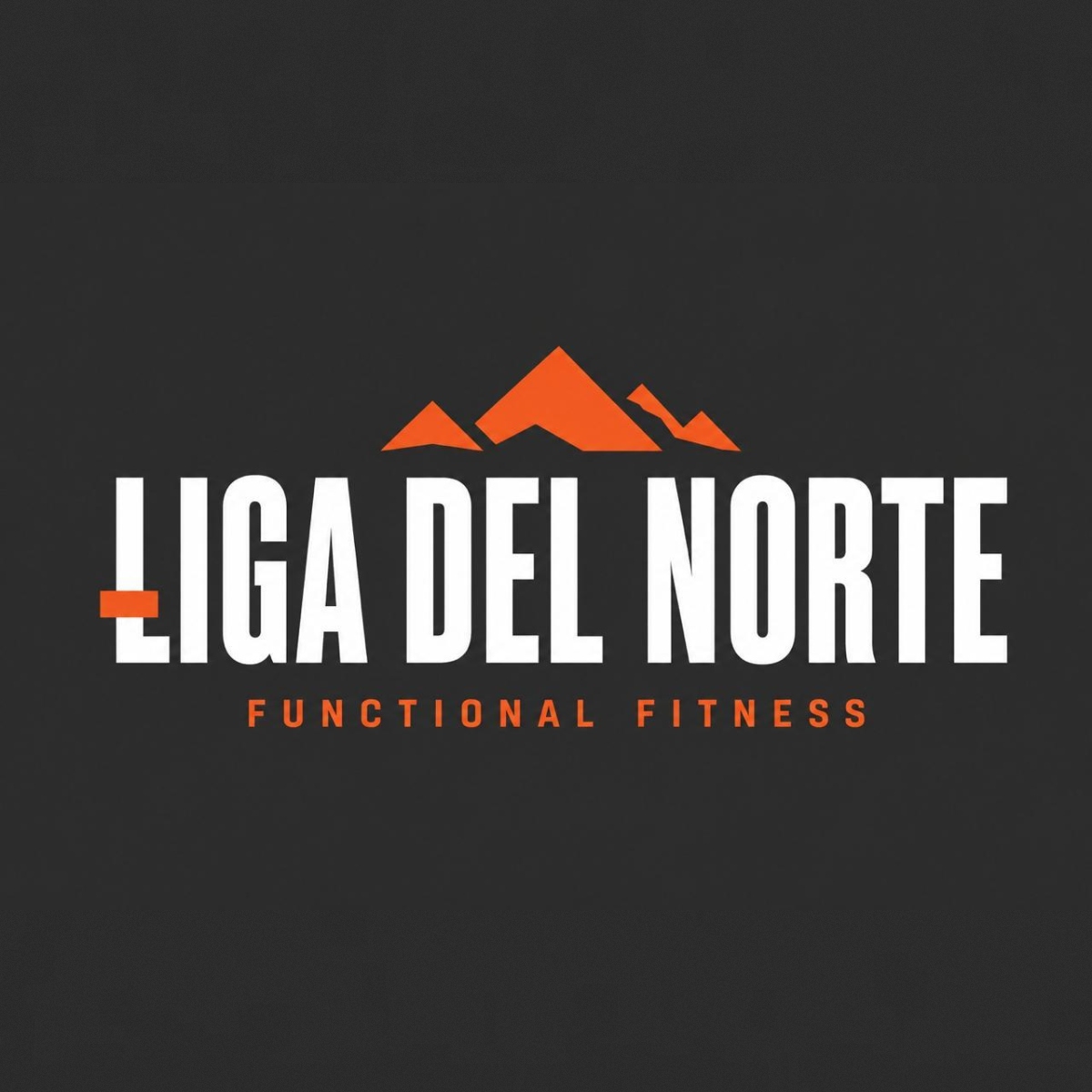 Liga del Norte 2026