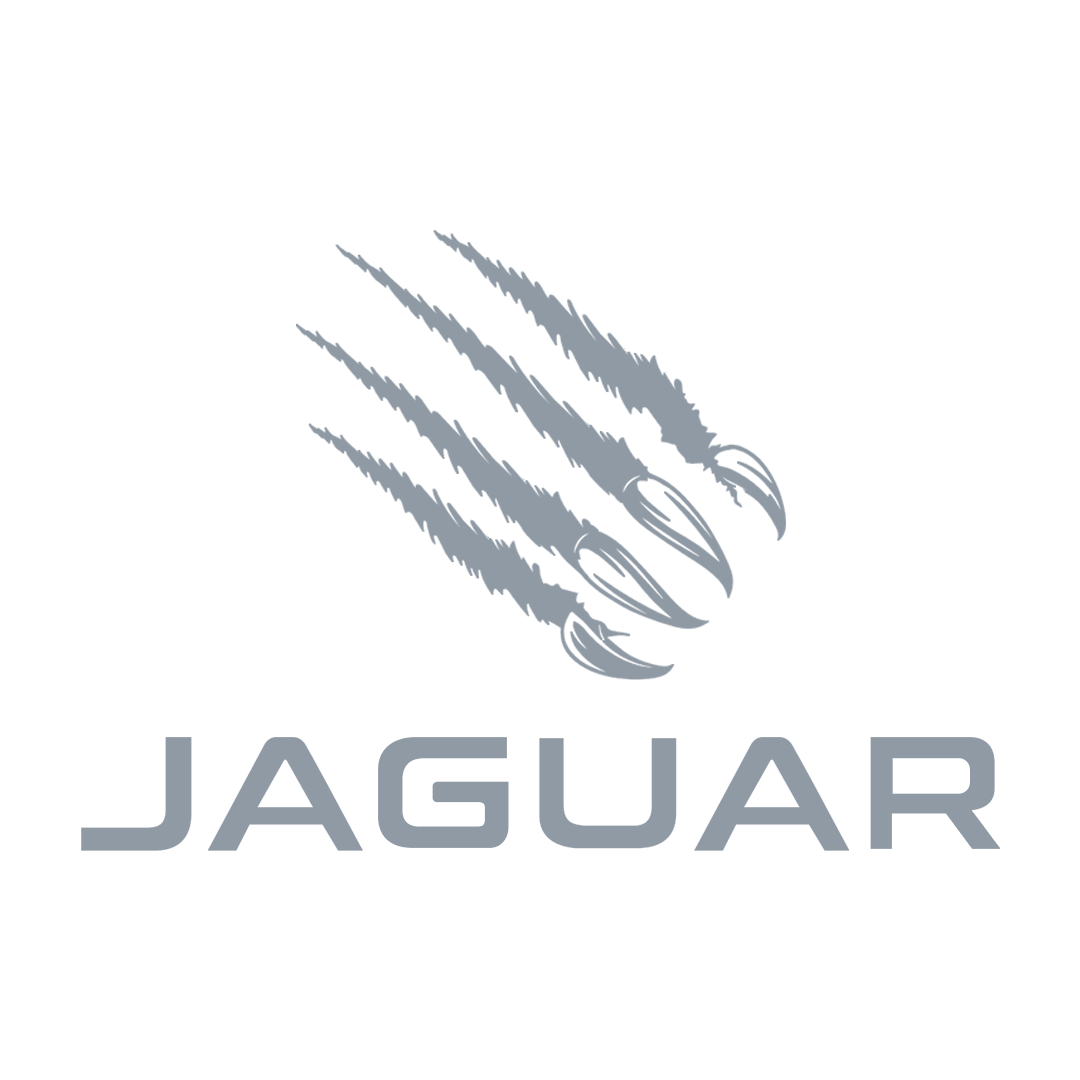 Jaguar Bumpers WODreps